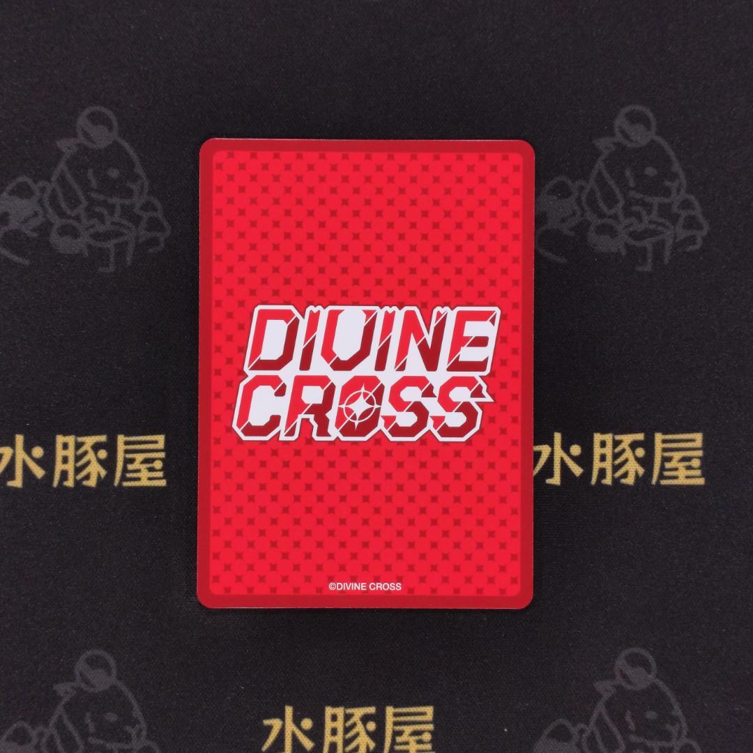 ディヴァインクロス　ロイド様の護衛兼教育係 シルファ　05/41