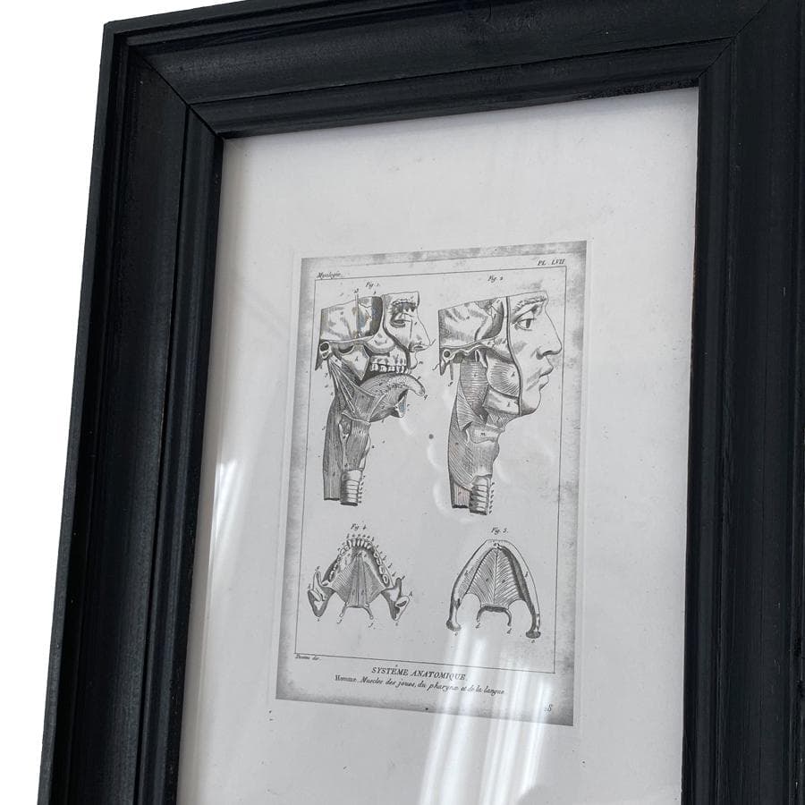 廃盤 プエブコ PUEBCO ブラックフレーム アートポスター