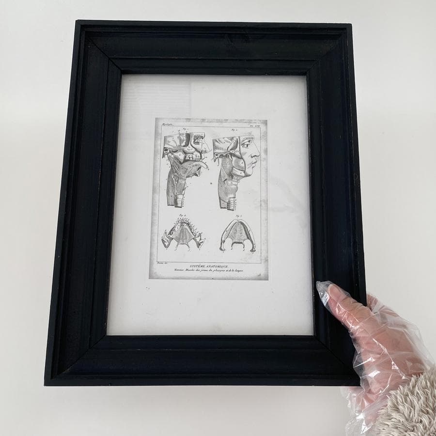 廃盤 プエブコ PUEBCO ブラックフレーム アートポスター