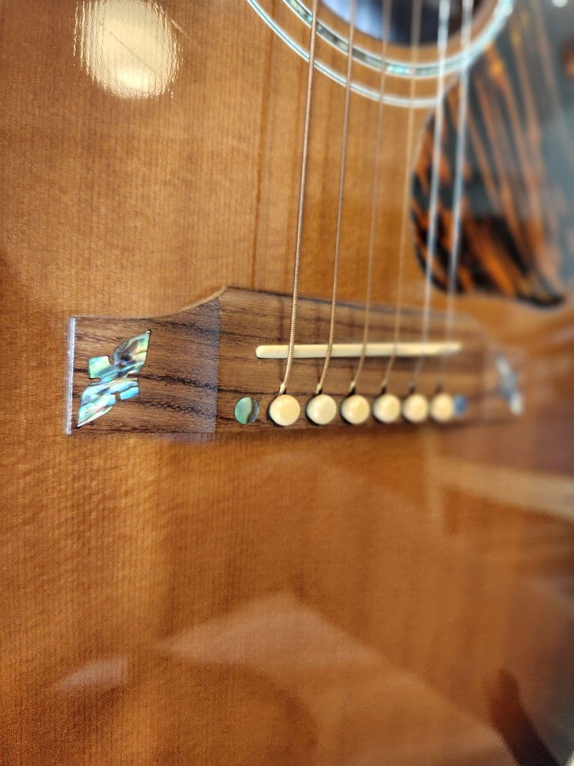 蒲焼き Gibson　J-45 Custom2016 純正ハードケース付属