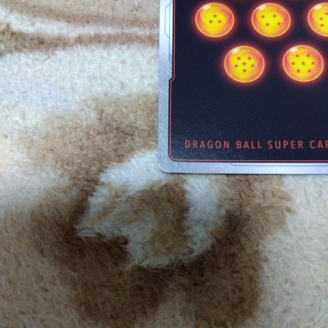 DBFW ブロリー：BR パラレル SCR FB06-120 シクパラ