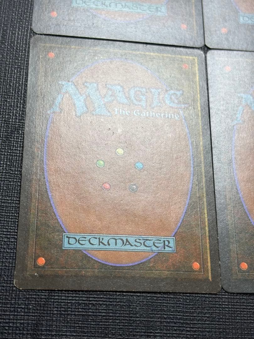 極楽鳥/Birds of Paradise