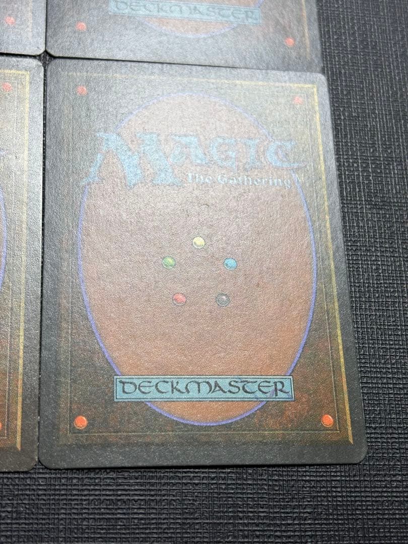 極楽鳥/Birds of Paradise