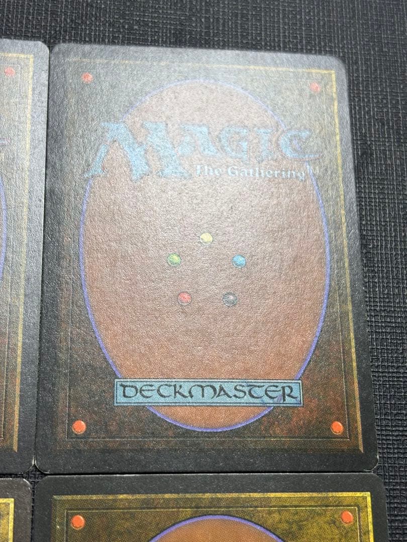 極楽鳥/Birds of Paradise