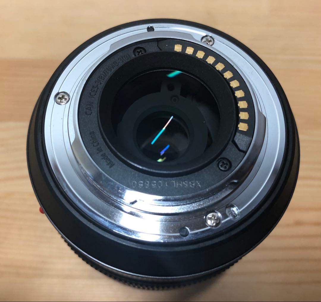 Panasonic/パナソニック　LUMIX G VARIO 12-60㎜