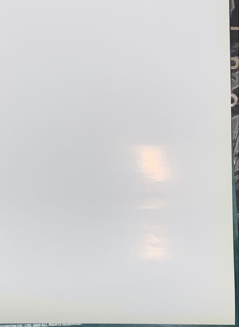 【B2】 エルデンリング 販促 ポスター フロムソフトウェア