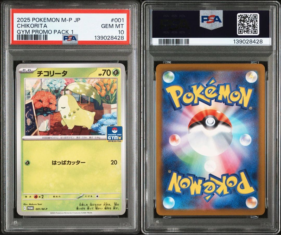 超希少　ミアレシティ　psa10 3連番　御三家　チコリータ　ポカブ　ワニノコ