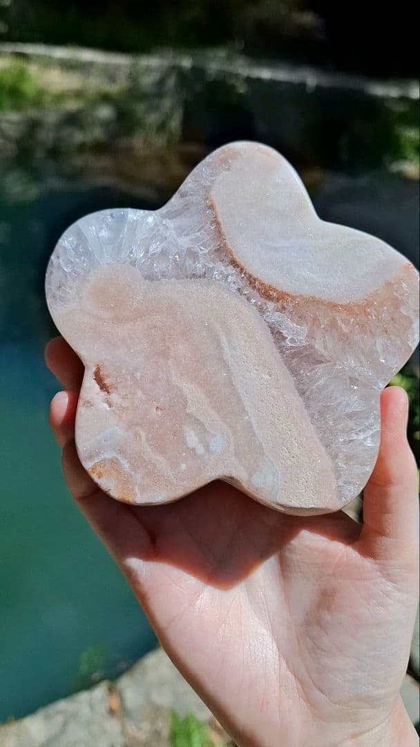 ピンクアメジストフラワー【開花】