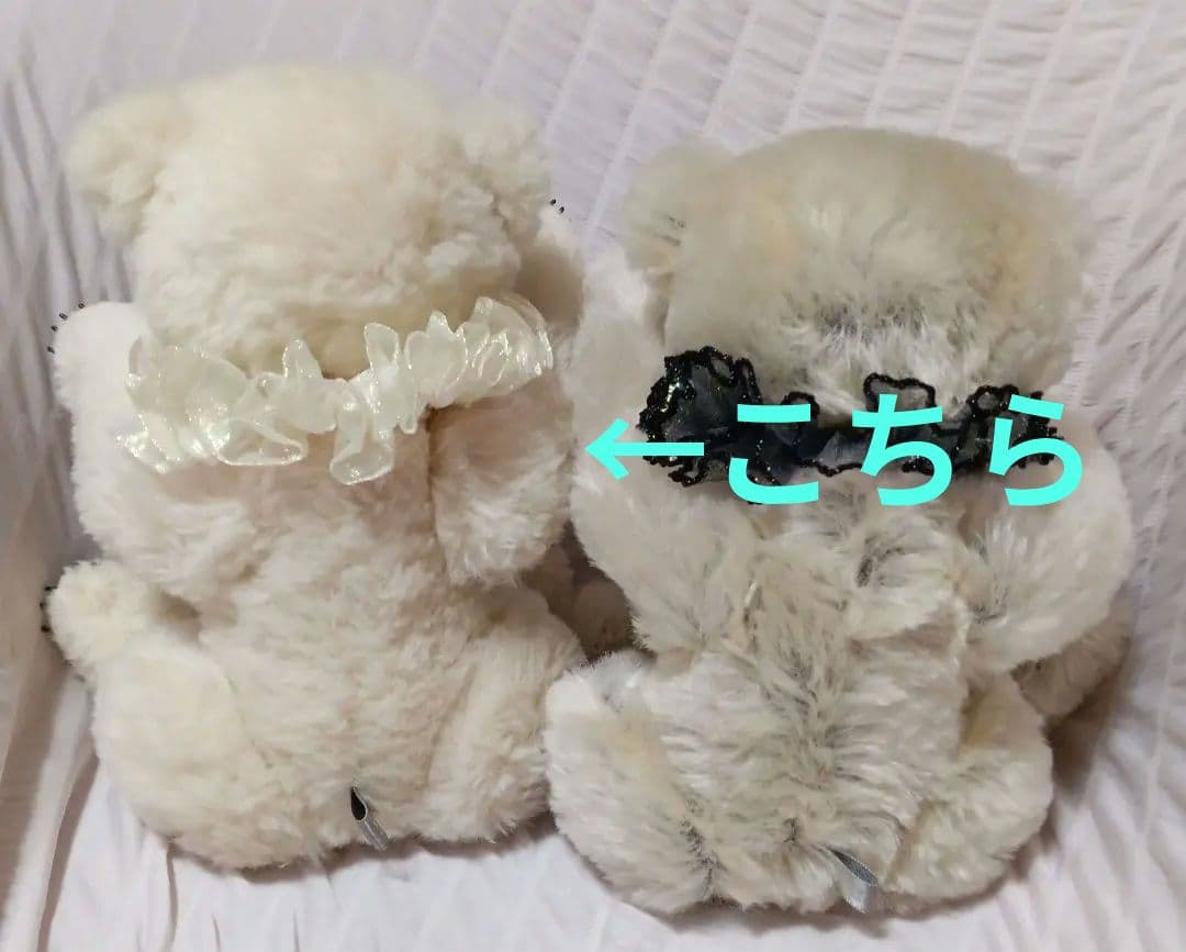 テディベア　①