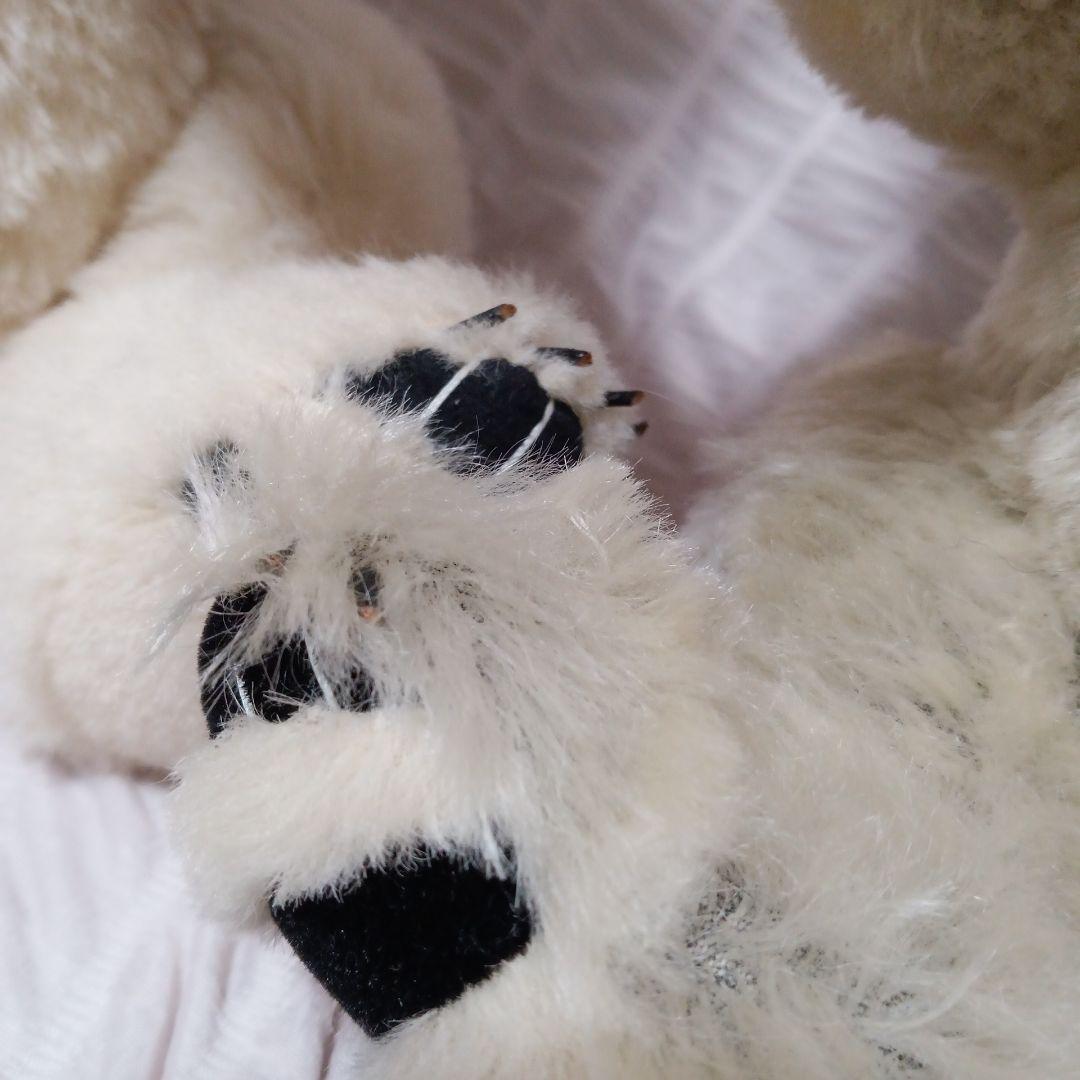 テディベア　①