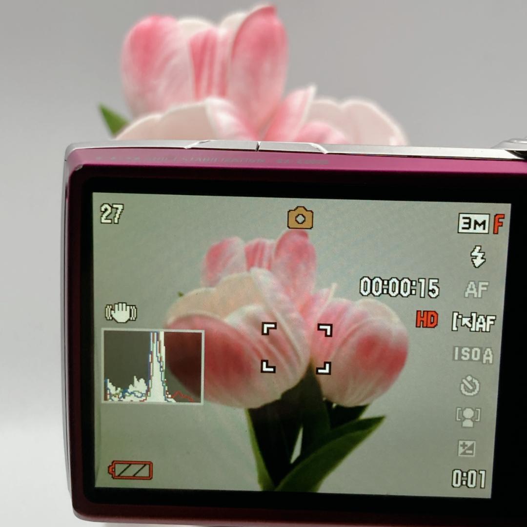 【概ね美品】CASIO EXILIM EX-Z2000 デジタルカメラ レッド