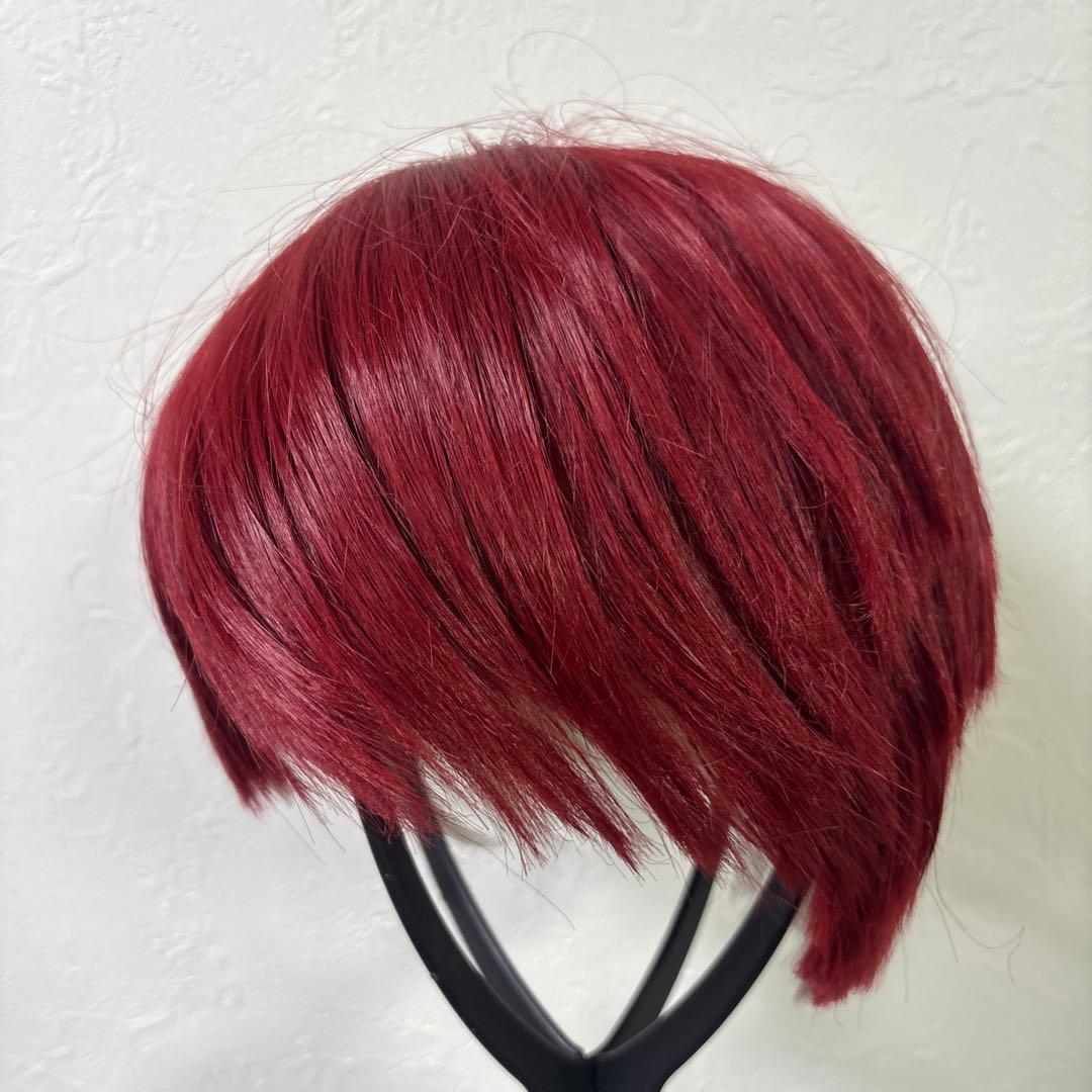 僕のヒーローアカデミア 制服 轟焦凍 コスプレ ウィッグ バック