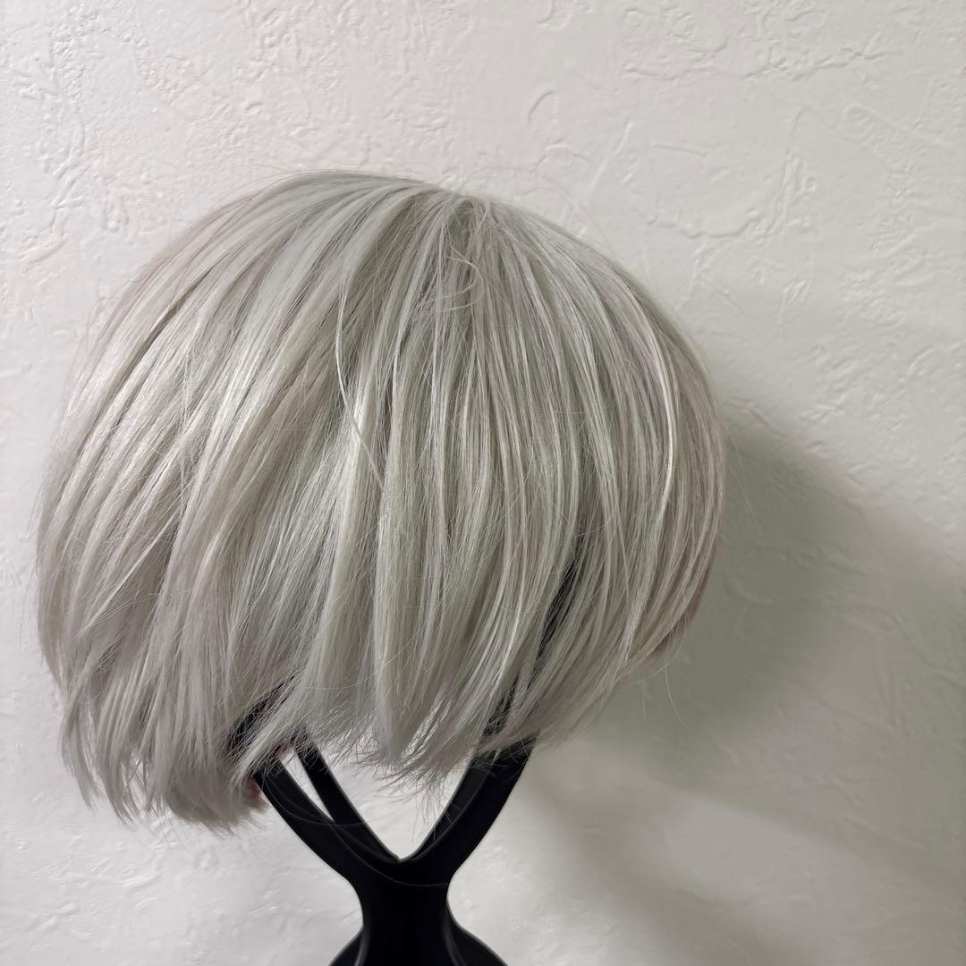 僕のヒーローアカデミア 制服 轟焦凍 コスプレ ウィッグ バック