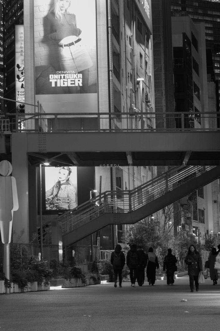 無色透明訳あり！PENTAX Super-Takumar 55mm f1.8