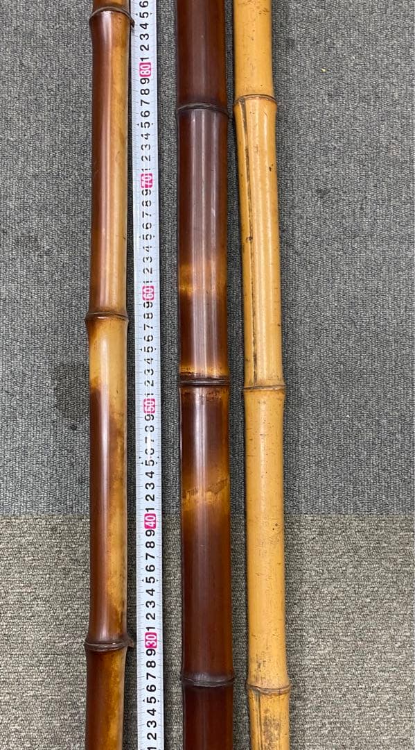 煤竹　すすだけ