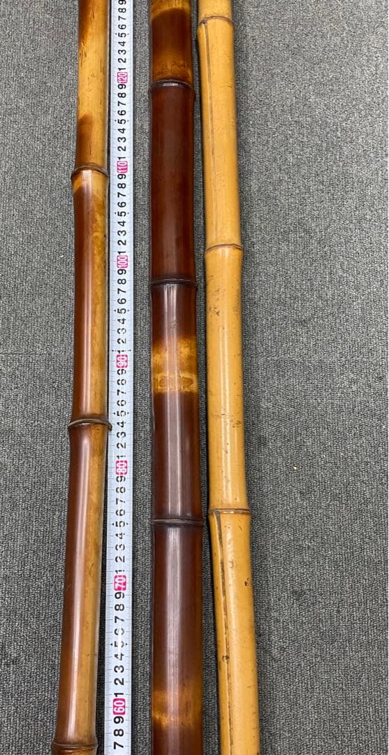 煤竹　すすだけ