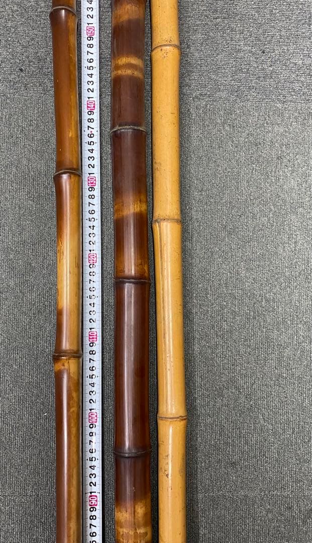 煤竹　すすだけ