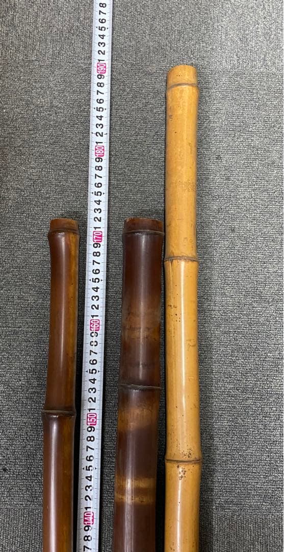 煤竹　すすだけ