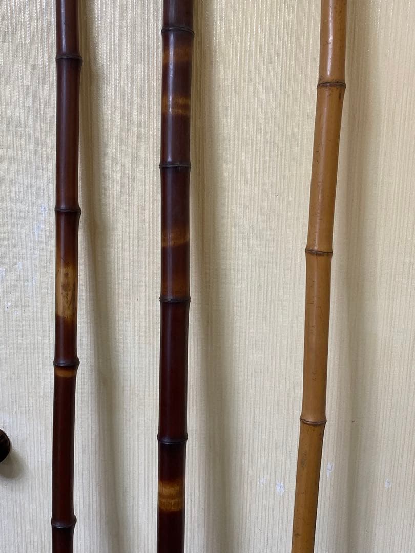 煤竹　すすだけ