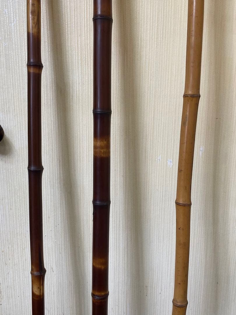 煤竹　すすだけ