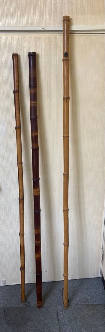 煤竹　すすだけ