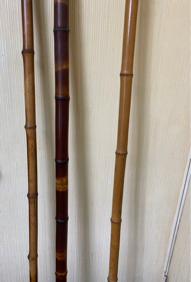 煤竹　すすだけ