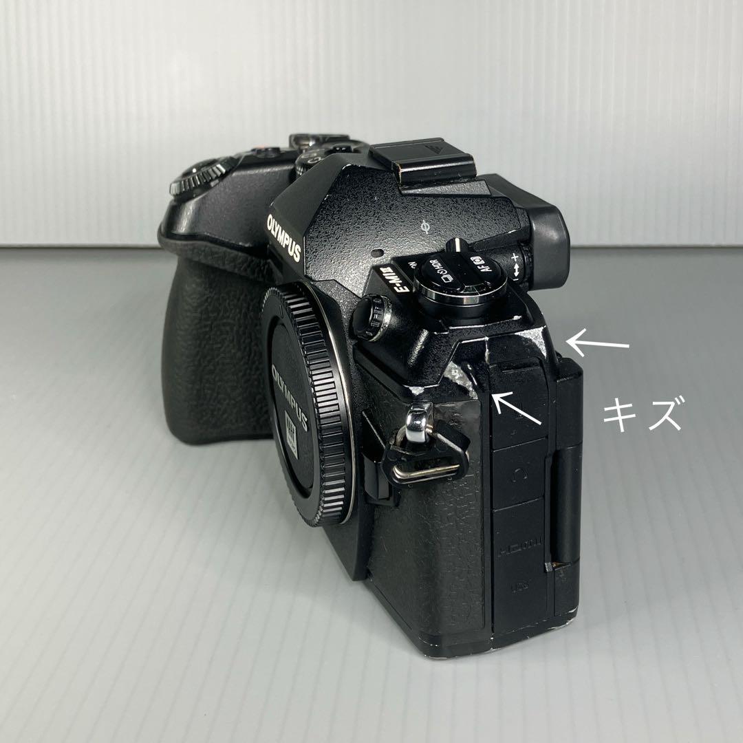 OLYMPUS OM-D E-M1 MarkII 本体（＋付属品）