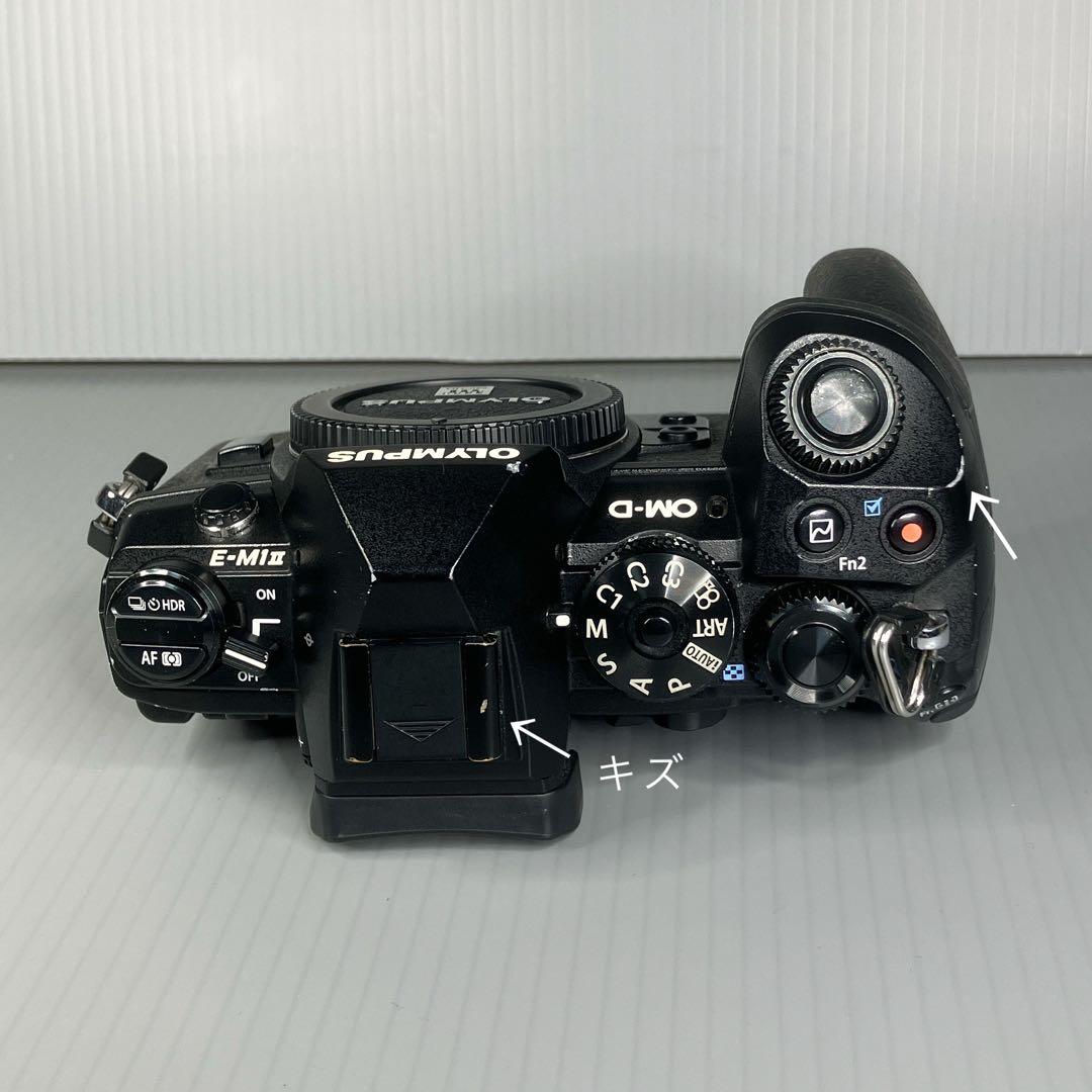 OLYMPUS OM-D E-M1 MarkII 本体（＋付属品）