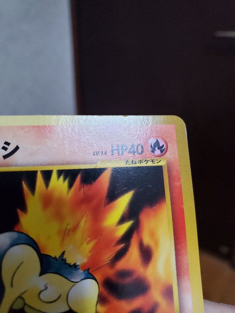 開封済み　ポケモンカードneo　旧裏　プレミアムファイル