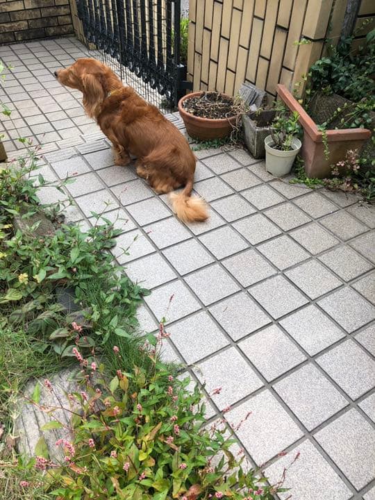 ✳︎BAO✳︎PHOUC✳︎様　確認用　②