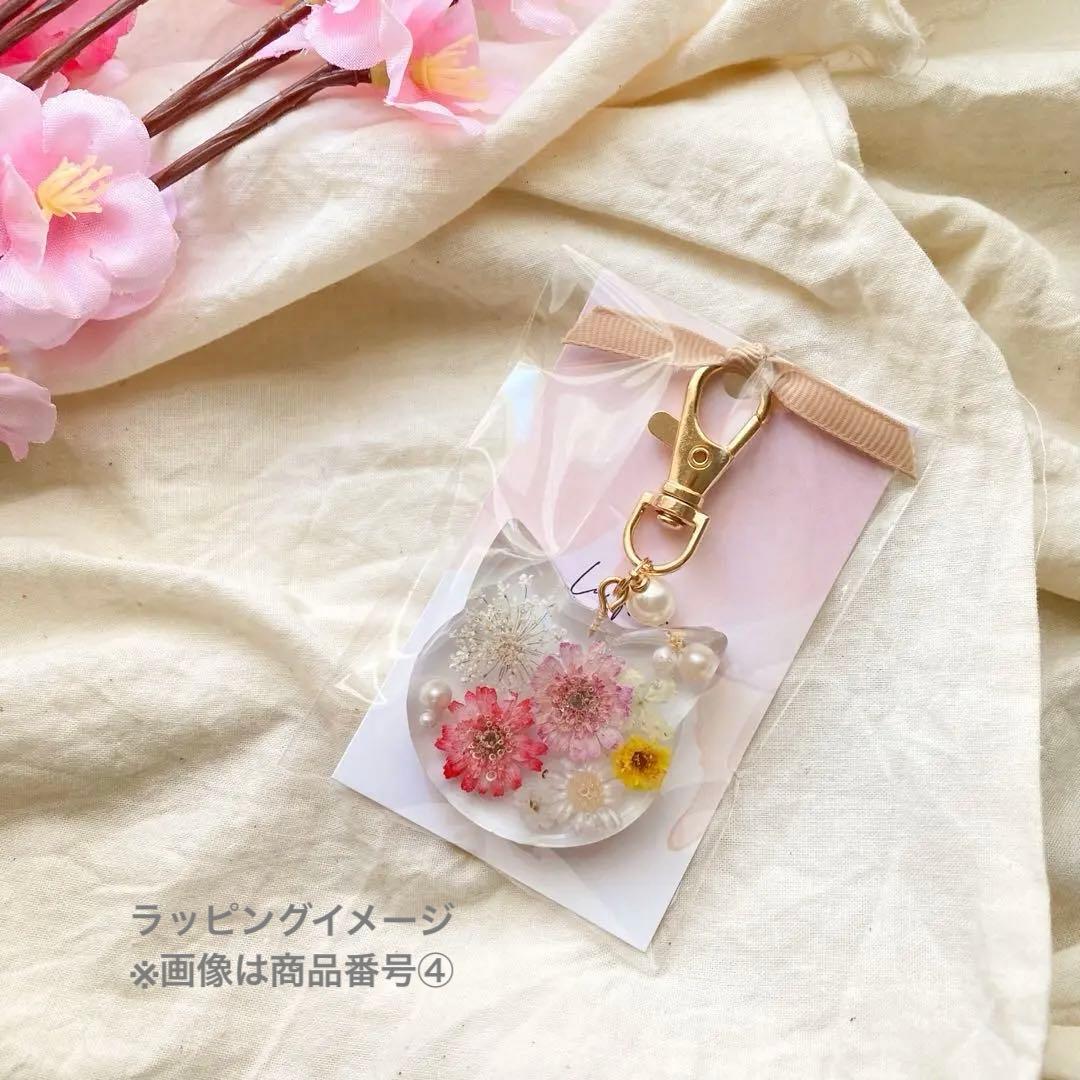 レジンキーホルダー　猫　レジンアクセサリー　ハンドメイド　誕生日　なちちゃーむ