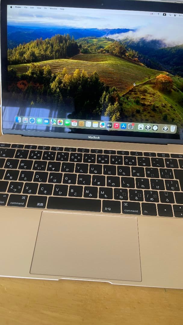 MacBook本体 Macbook 12inch 2015