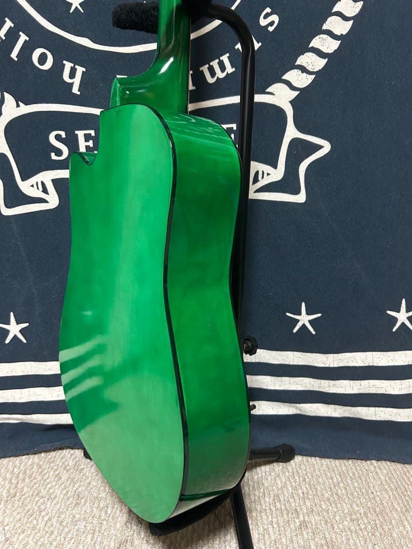 最終特価‼️新品未使用グリーン　タイガーグラフィック　アコースティックギター