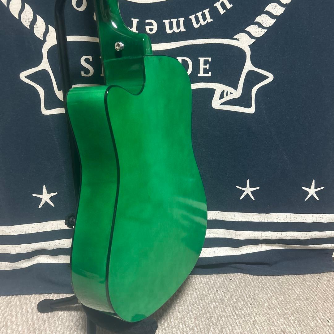 最終特価‼️新品未使用グリーン　タイガーグラフィック　アコースティックギター