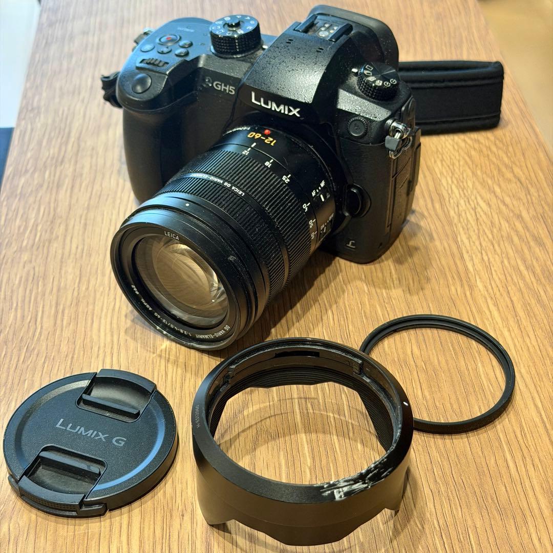 LUMIX DC-GH5 レンズキット（G VARIO 12-60mm）