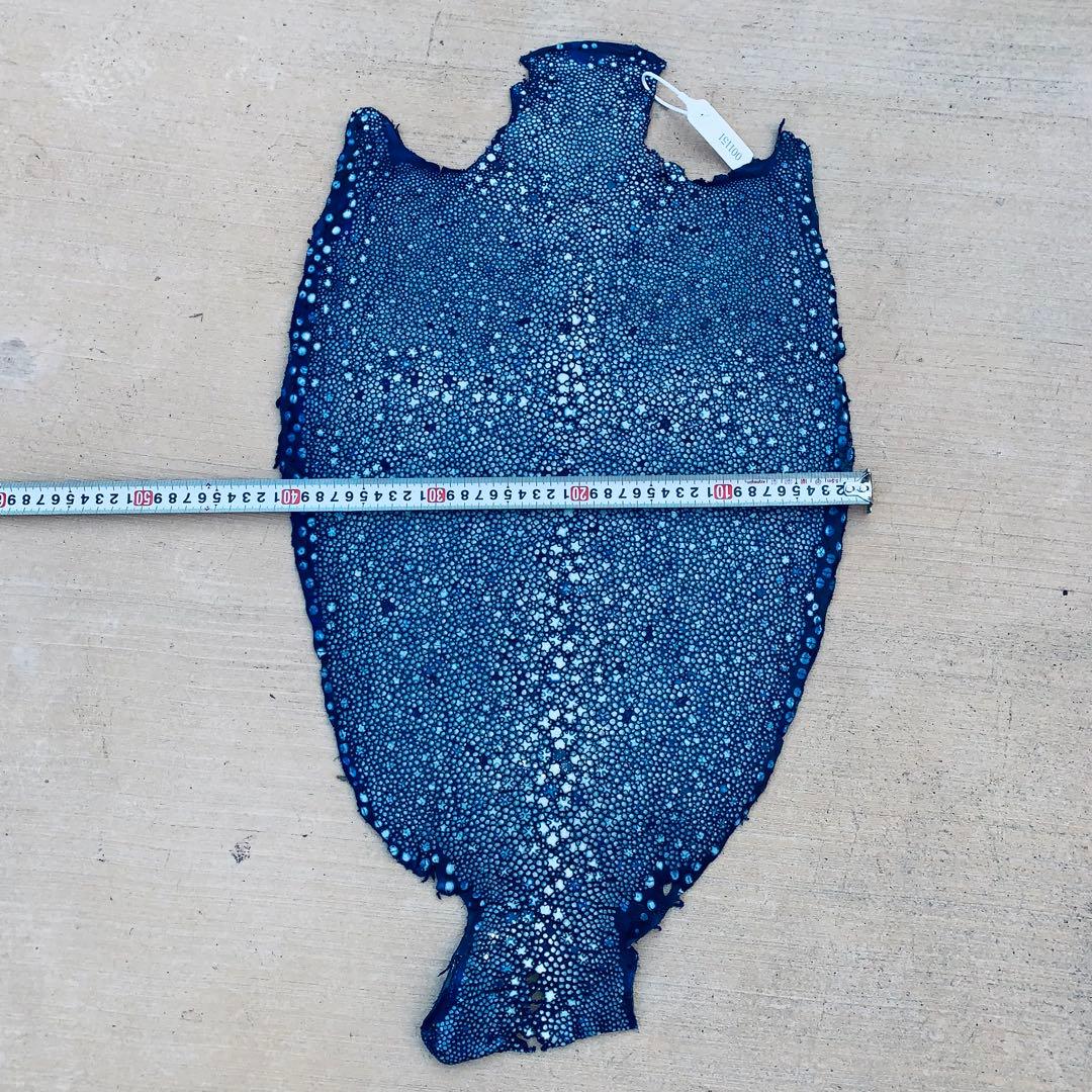 26) 極上 SSタンナー イバラエイ