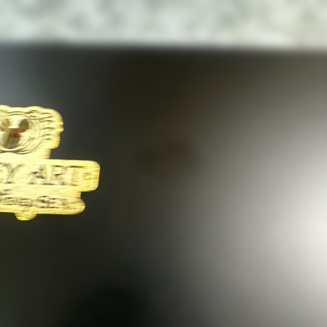 東京ディズニーシー　アートピンバッチセット