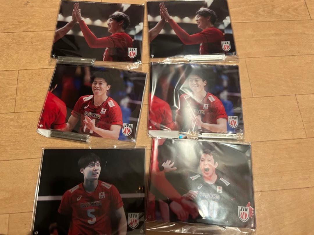 男子バレボール日本代表