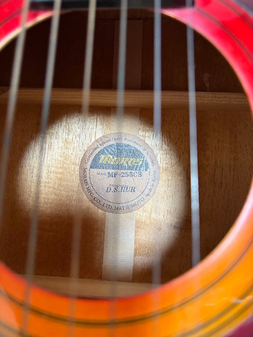 Morris アコースティックギター MF256 おまけ付き