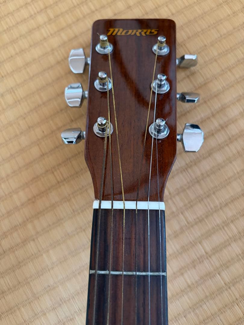 Morris アコースティックギター MF256 おまけ付き