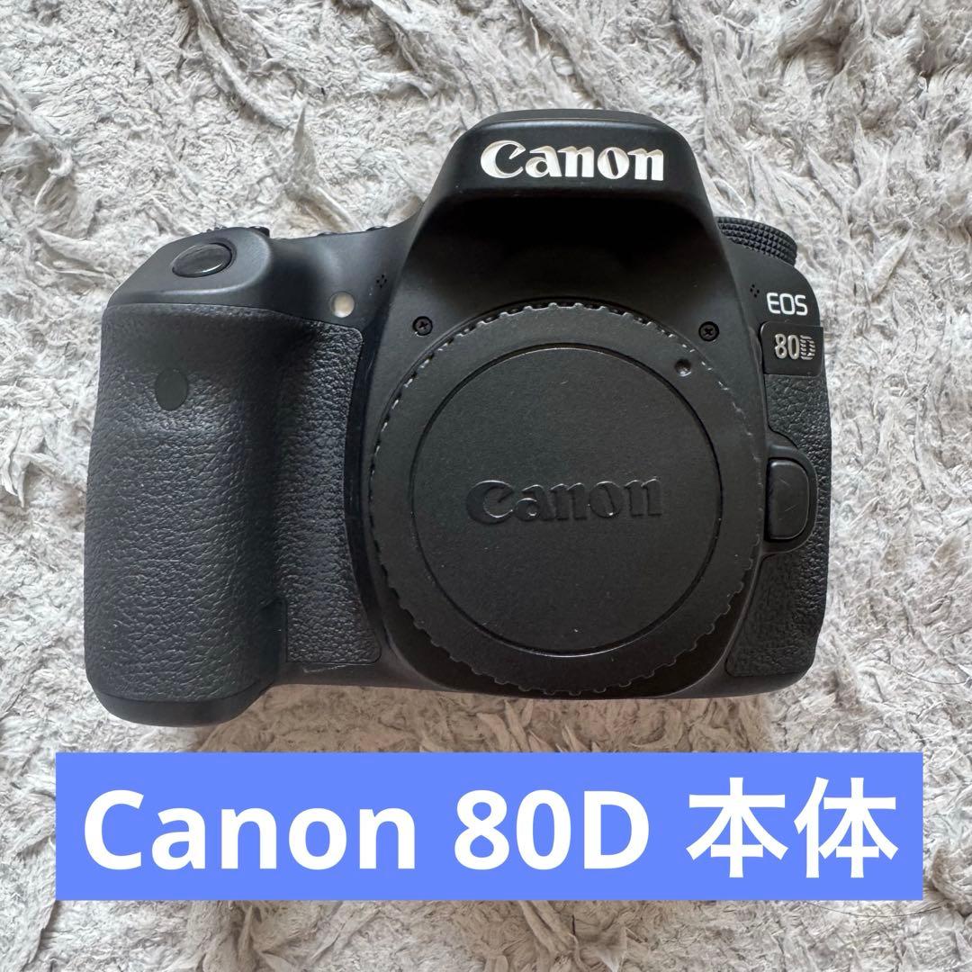 Canon EOS 80D デジタル一眼レフカメラ 望遠レンズセット