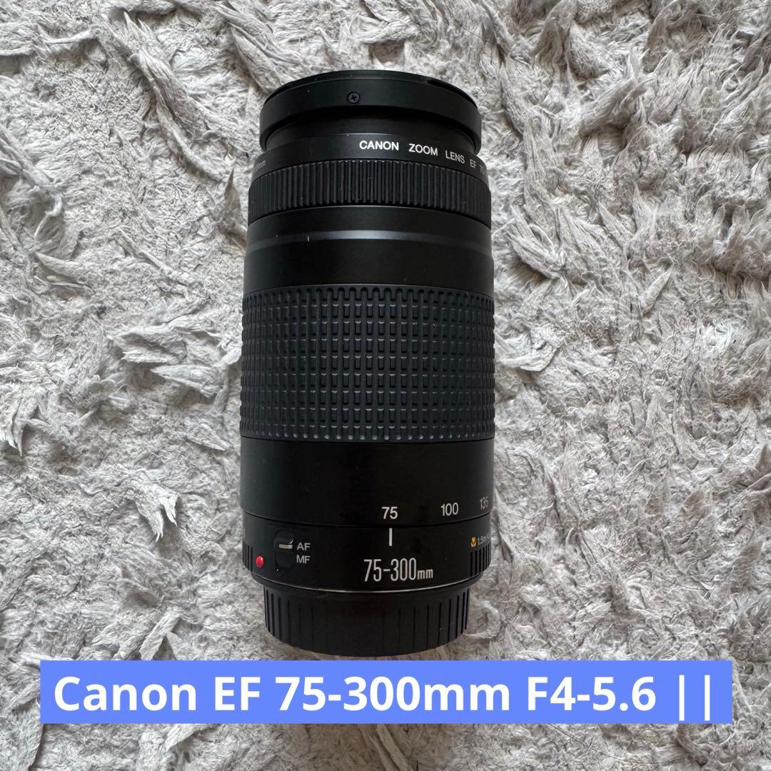 Canon EOS 80D デジタル一眼レフカメラ 望遠レンズセット