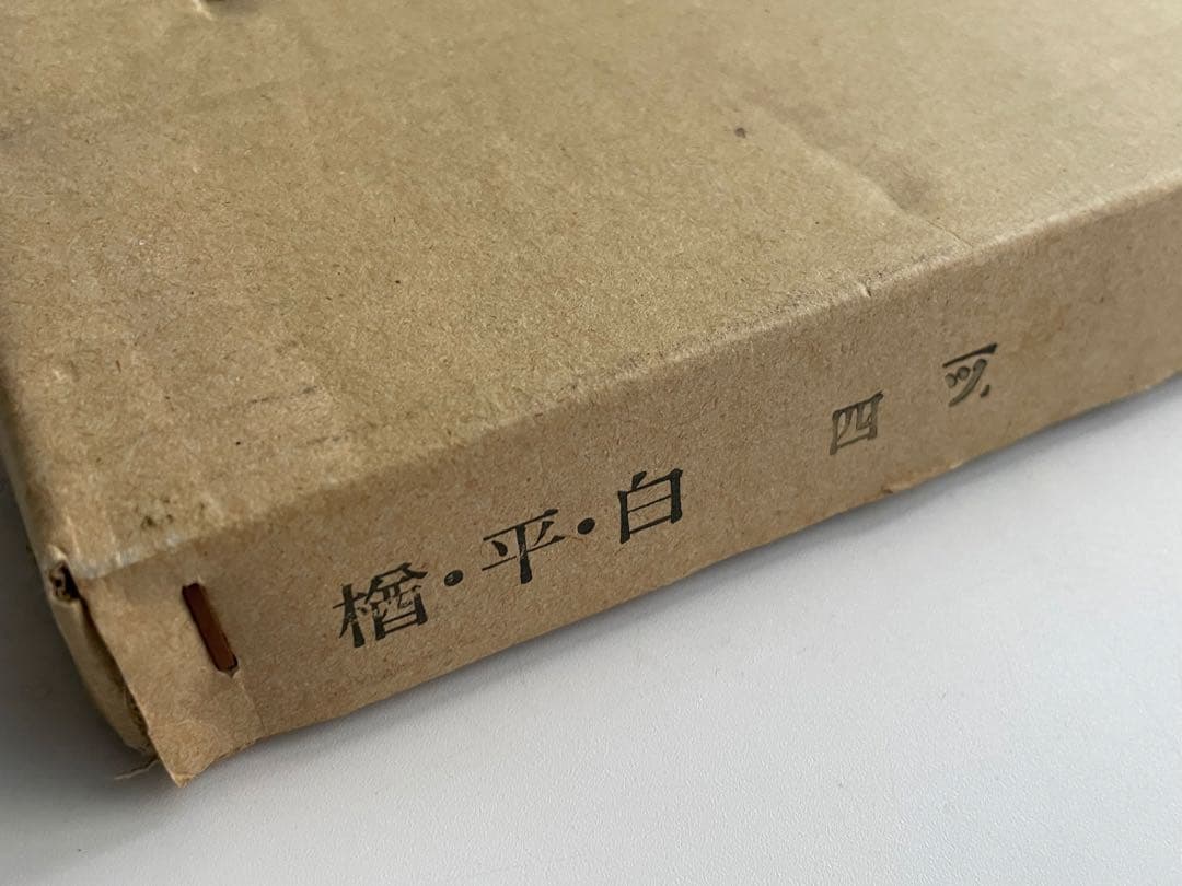 画家　作者不明　MORPHEME 2002 アート　額入　蕾　ボタニカルアート