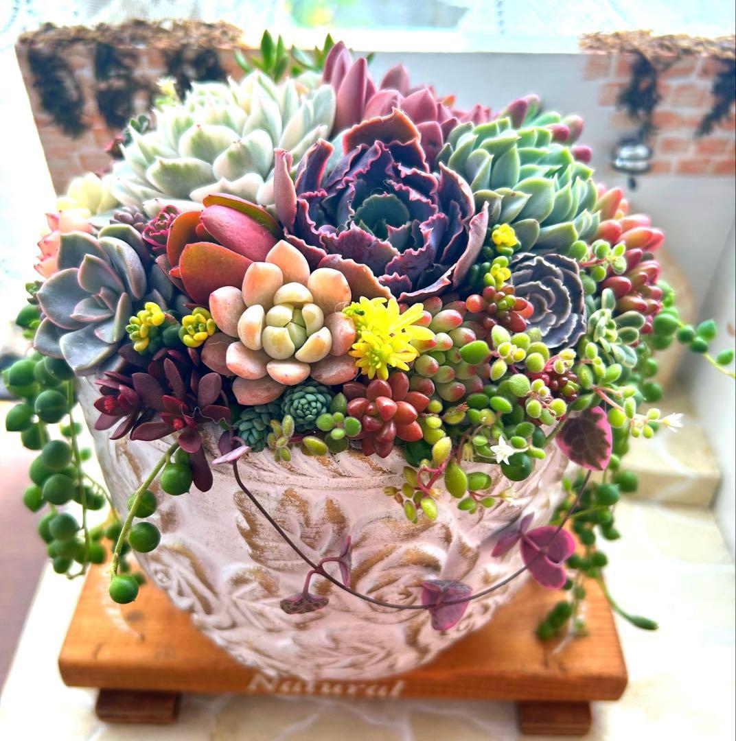 ❤️お年賀.お年玉.❤️多肉植物そのまま飾れる❤️アンティークレトロ鉢バラ大きめ