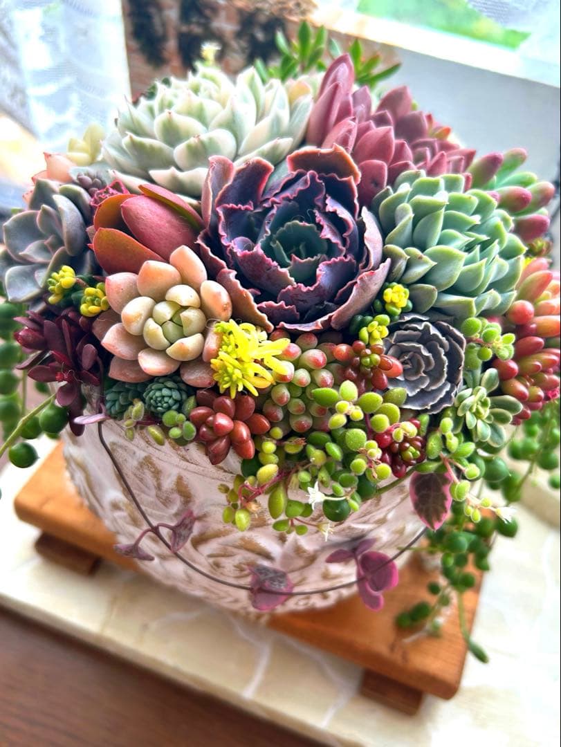 ❤️お年賀.お年玉.❤️多肉植物そのまま飾れる❤️アンティークレトロ鉢バラ大きめ