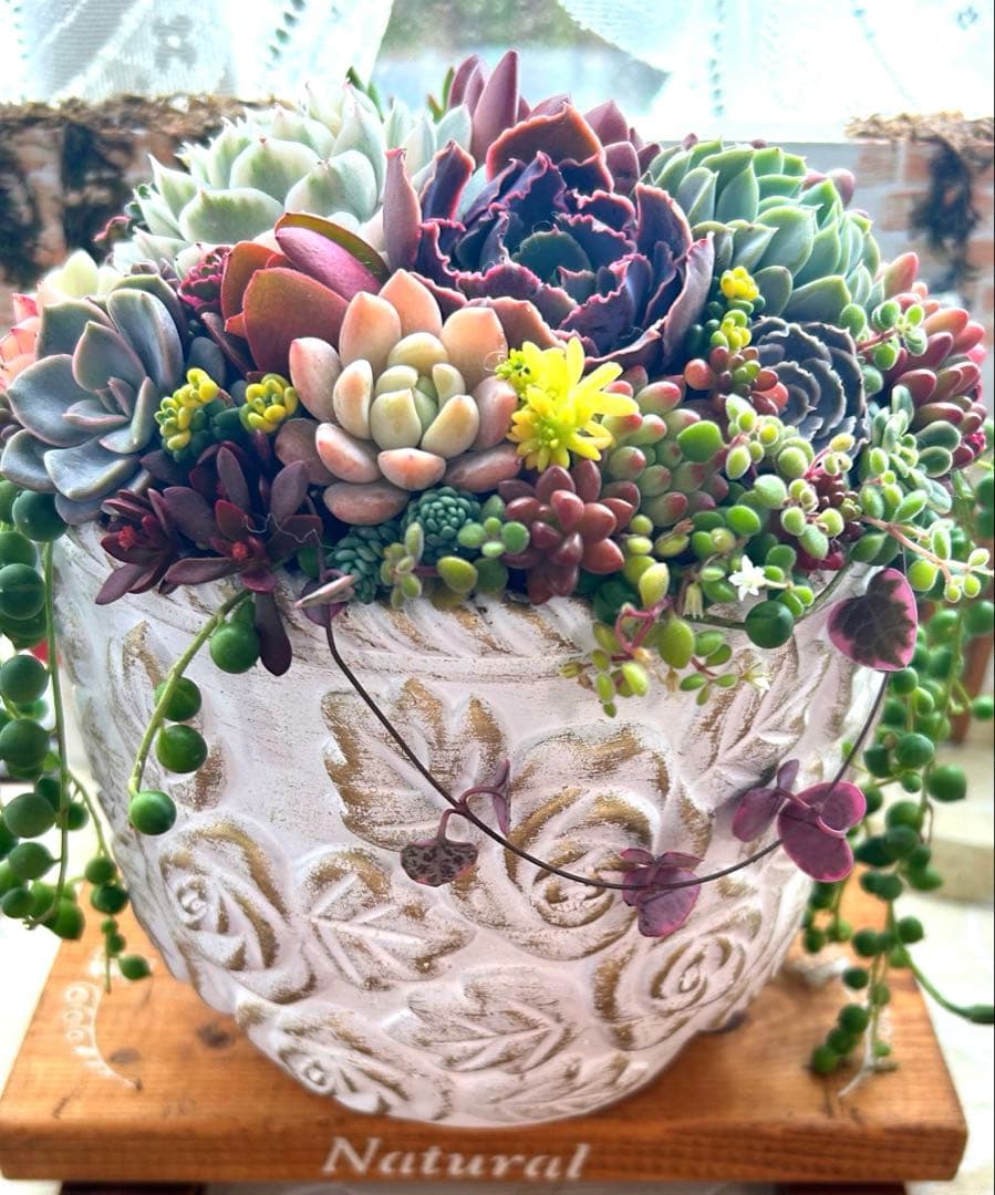 ❤️お年賀.お年玉.❤️多肉植物そのまま飾れる❤️アンティークレトロ鉢バラ大きめ
