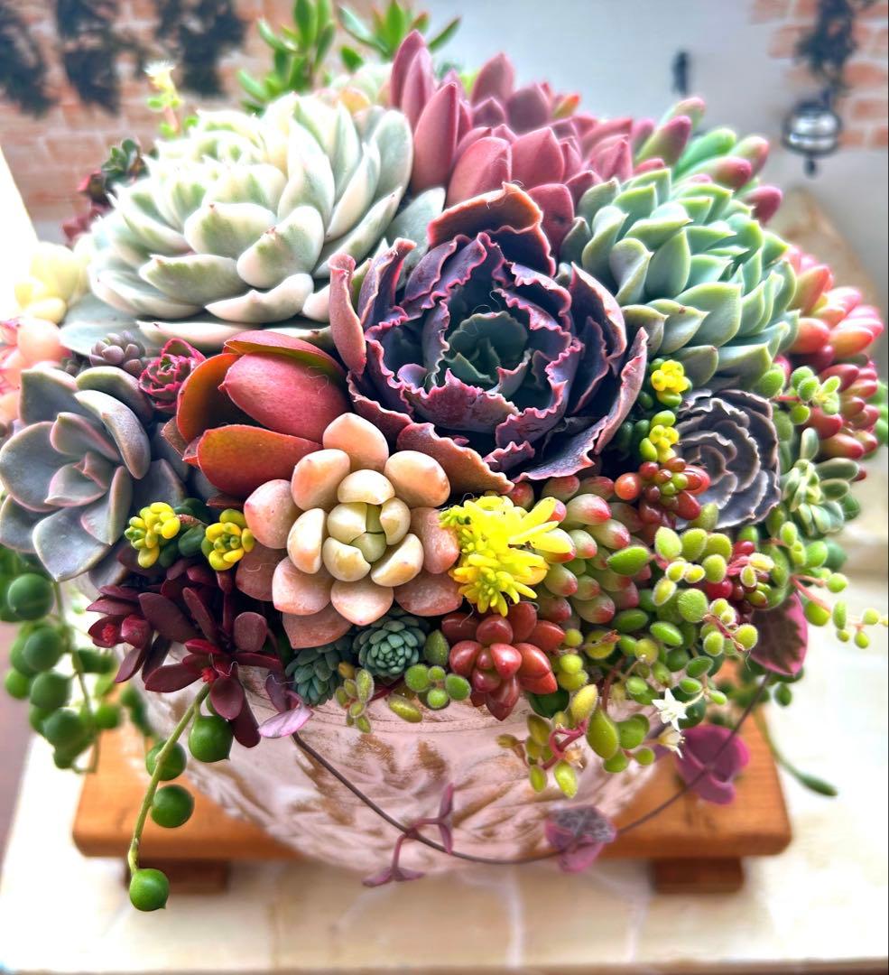 ❤️お年賀.お年玉.❤️多肉植物そのまま飾れる❤️アンティークレトロ鉢バラ大きめ