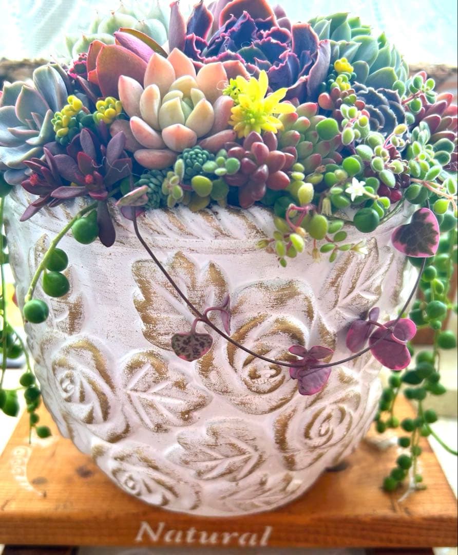❤️お年賀.お年玉.❤️多肉植物そのまま飾れる❤️アンティークレトロ鉢バラ大きめ
