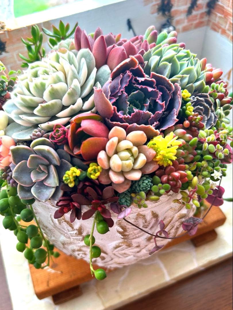 ❤️お年賀.お年玉.❤️多肉植物そのまま飾れる❤️アンティークレトロ鉢バラ大きめ