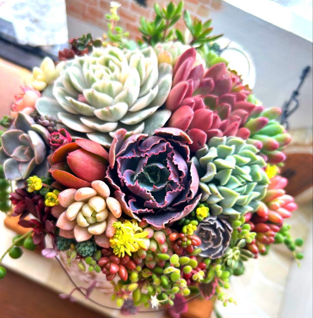 ❤️お年賀.お年玉.❤️多肉植物そのまま飾れる❤️アンティークレトロ鉢バラ大きめ